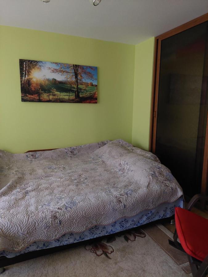 Fely Room Petroşani Exteriér fotografie